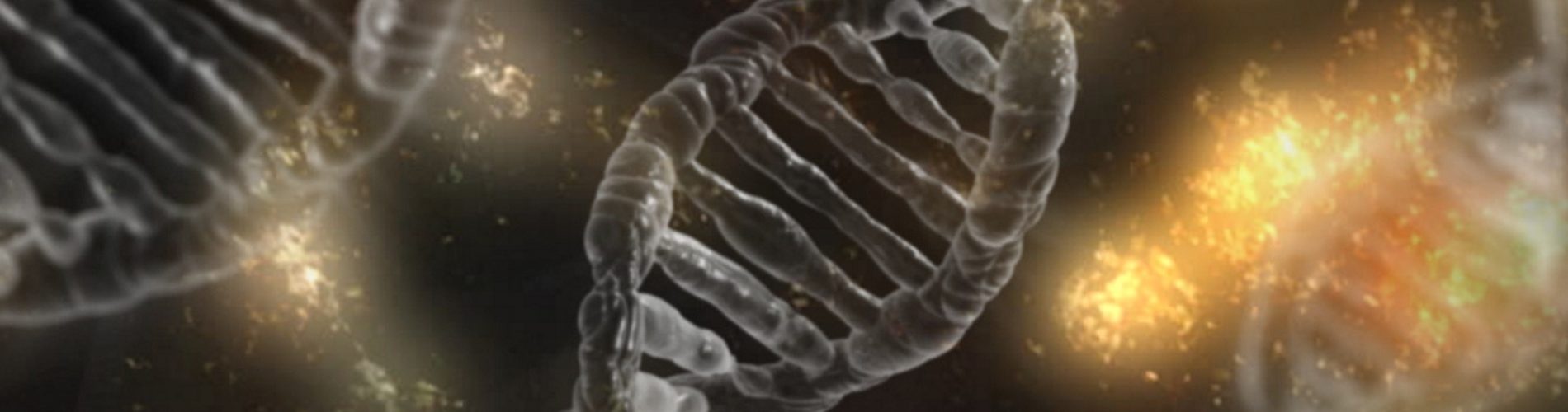 dna-1903318 dna-1903318